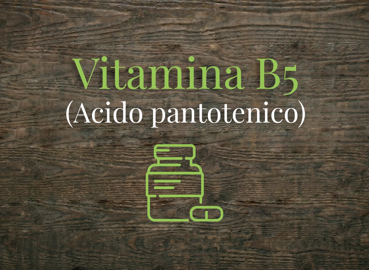 Vitamina B5 (Acido pantotenico)
